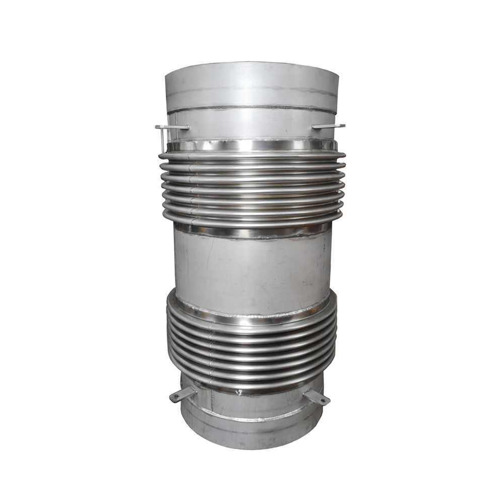 Double Bellows Expansion Joint.jpg